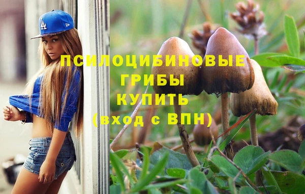mdma Гусь-Хрустальный
